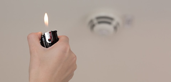 Baulicher Brandschutz bei Informations & Elektrotechnik Schmidt in Muldestausee OT Schlaitz