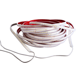 LED Stripes ab IP44 bei Informations & Elektrotechnik Schmidt in Muldestausee OT Schlaitz